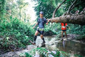 BIB: 
                            <button type="button" onclick="openModal(25433906)" class="btn btn-primary btn-sm float-right btn-popup" data-toggle="modal" data-target=".modal-high-quality">
                        <i class="fas fa-shopping-cart"></i> Add to Cart
                    </button>
                                            <button type="button" onclick="isThisMe(25433906, true)" class="btn btn-success btn-sm float-right btn-popup btn-isme hidden" data-toggle="tooltip" data-placement="bottom" title="นี่คือรูปของคุณใช่ไหม คลิกที่นี่เพื่อเอาเข้าอัลบั้ม">
                        <i class="fas fa-plus"></i> Add to album
                    </button>
                    <button type="button" onclick="isThisMe(25433906, false)" class="btn btn-warning btn-sm float-right btn-popup btn-isnotme hidden">
                        <i class="fas fa-ban"></i> Remove from album
                    </button>